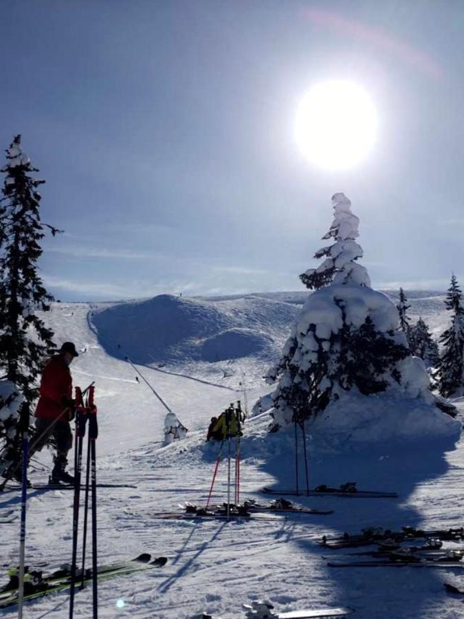 In The Middle Of Trysil Fjellet - Welcome Center - Apartment With 4 Bedrooms And Sauna - By Bike Arena And Ski Lift 외부 사진