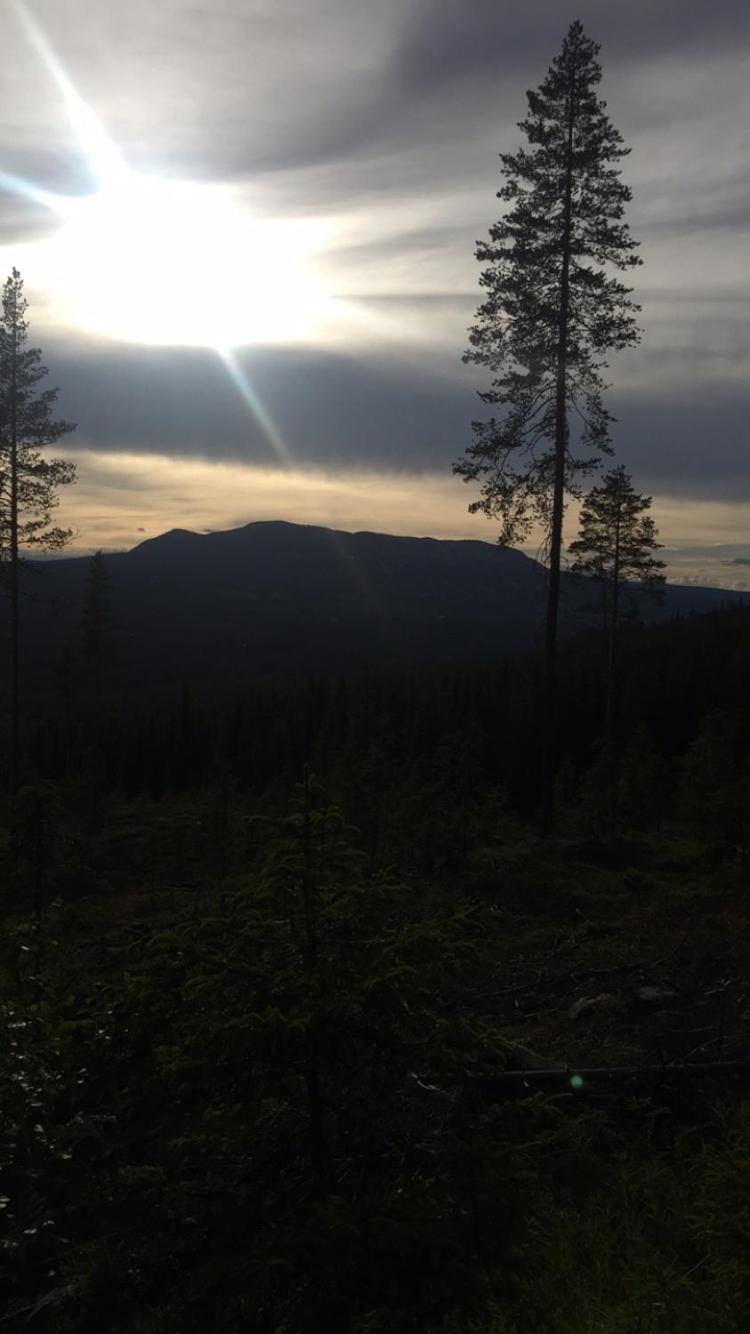 In The Middle Of Trysil Fjellet - Welcome Center - Apartment With 4 Bedrooms And Sauna - By Bike Arena And Ski Lift 외부 사진