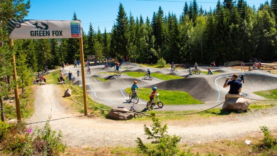 In The Middle Of Trysil Fjellet - Welcome Center - Apartment With 4 Bedrooms And Sauna - By Bike Arena And Ski Lift 외부 사진
